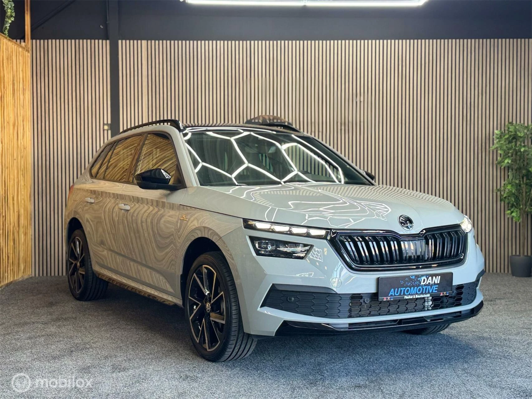 Hoofdafbeelding Škoda Kamiq