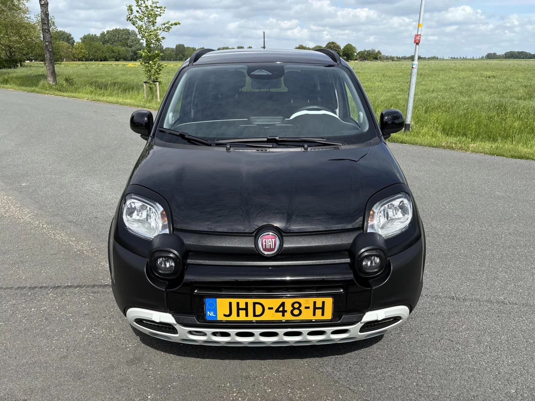 Hoofdafbeelding Fiat Panda