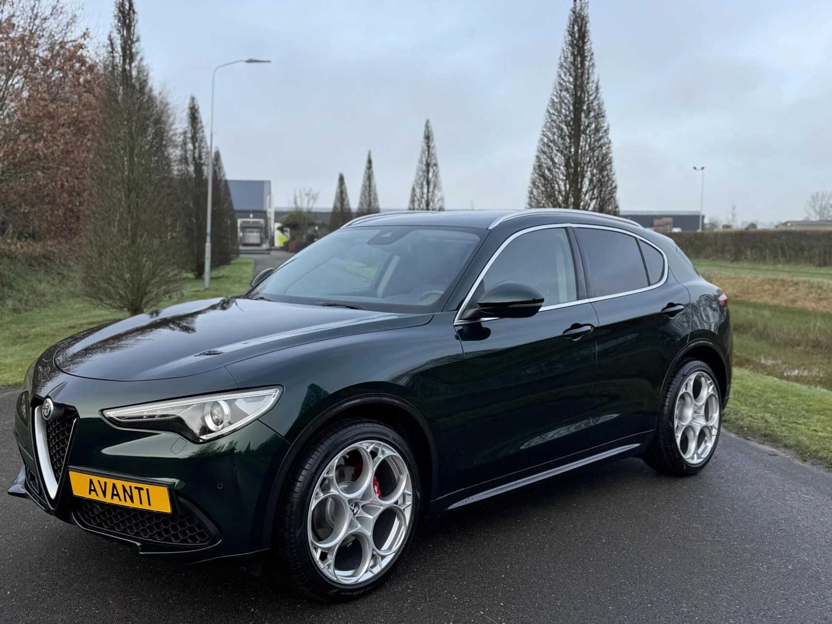 Hoofdafbeelding Alfa Romeo Stelvio