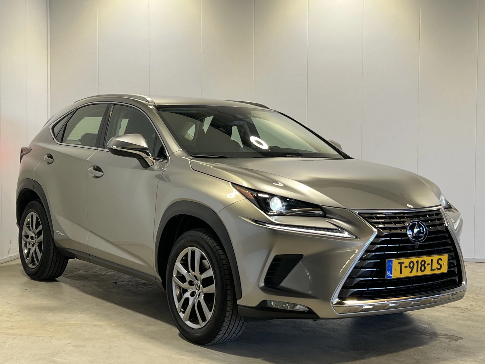 Hoofdafbeelding Lexus NX