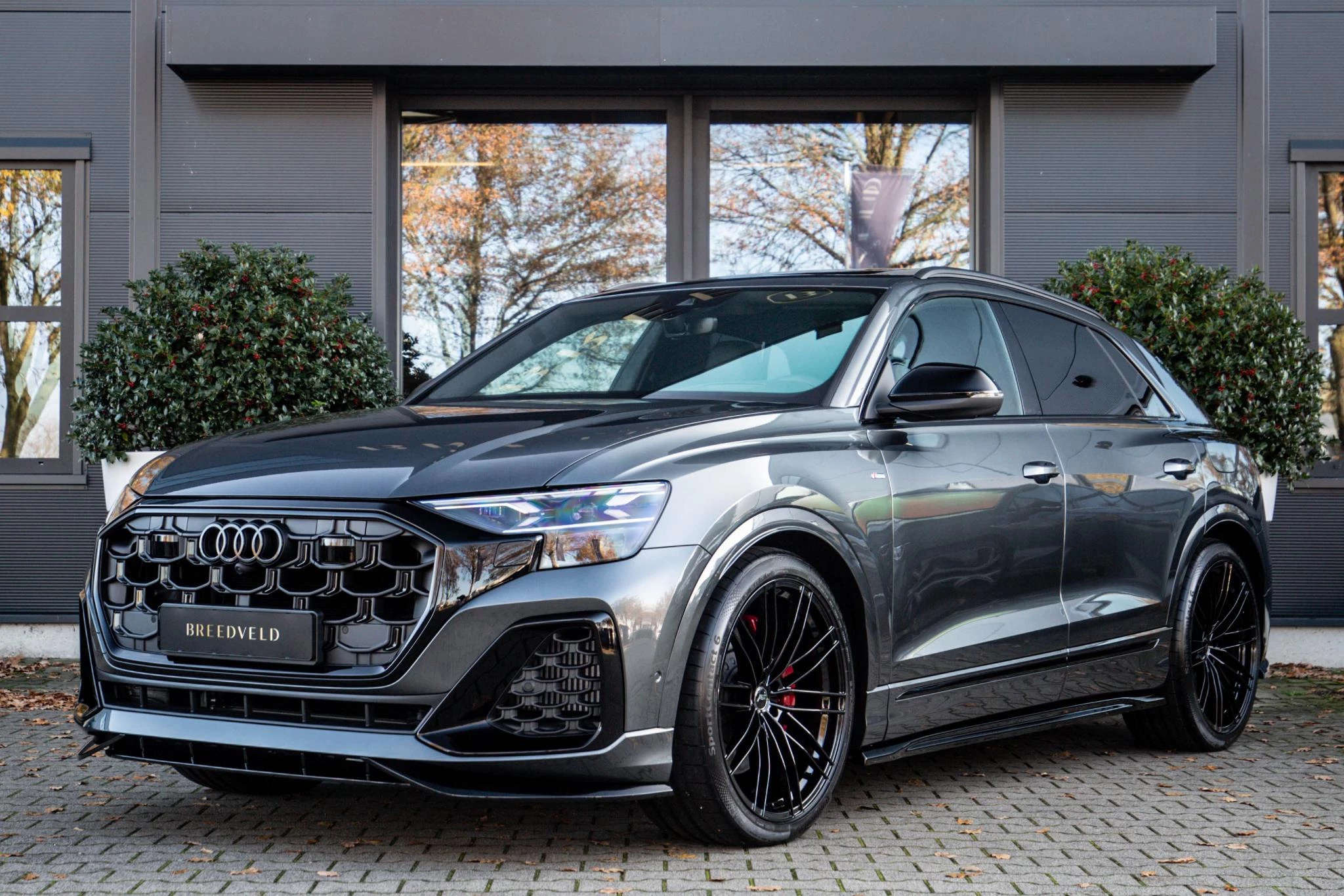 Hoofdafbeelding Audi Q8