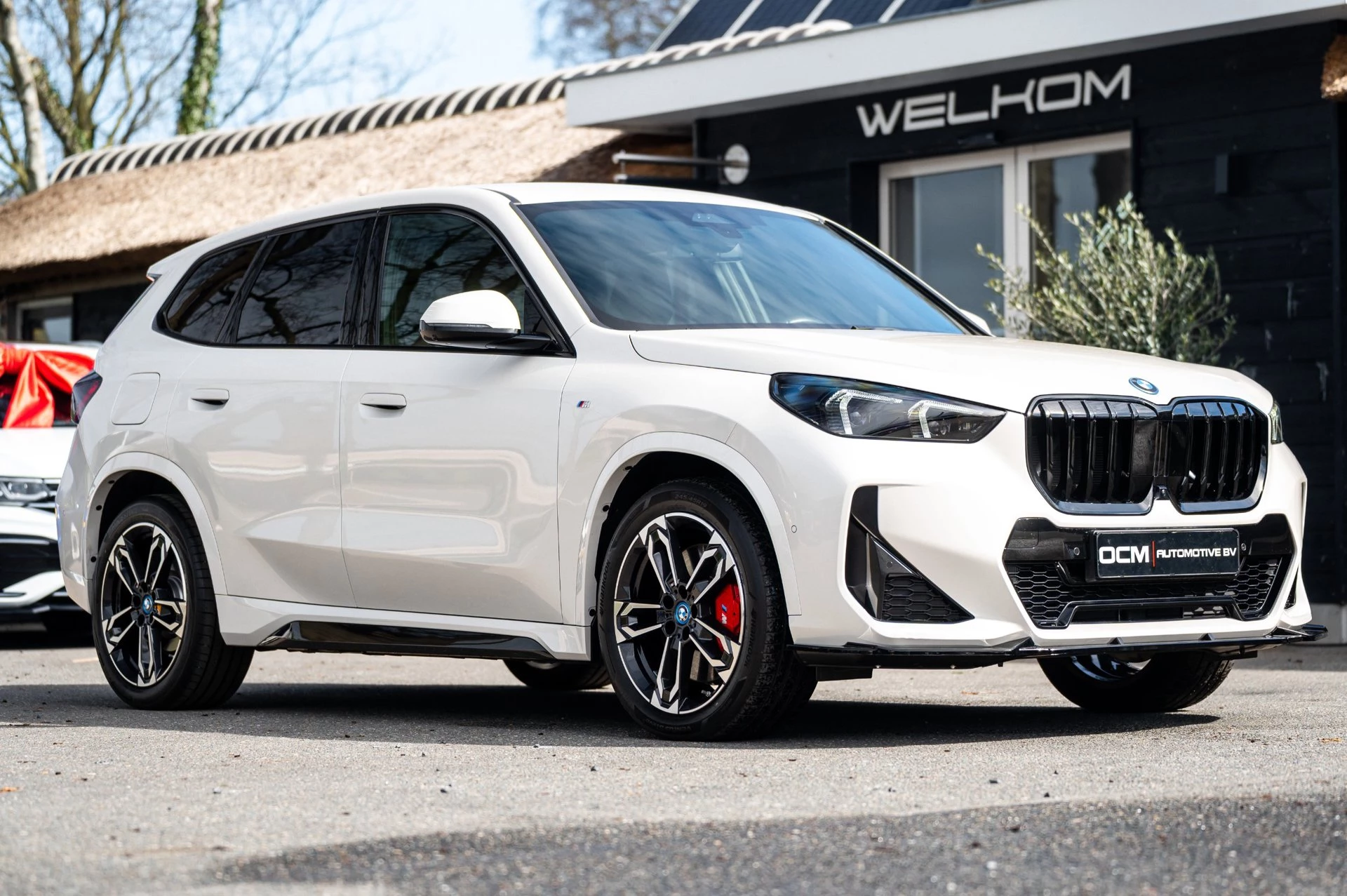 Hoofdafbeelding BMW iX1