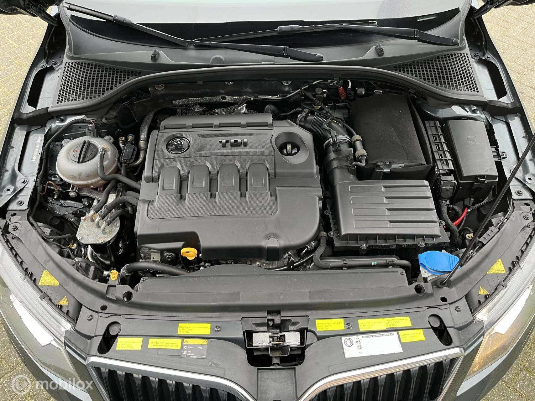 Hoofdafbeelding Škoda Octavia