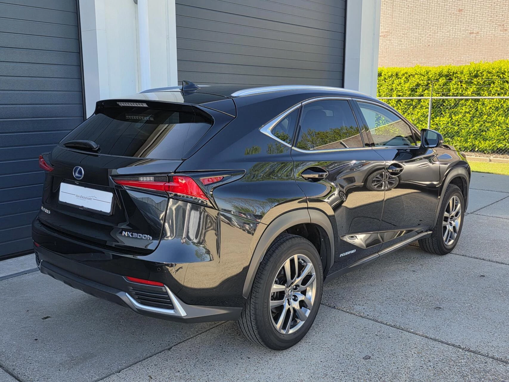 Hoofdafbeelding Lexus NX