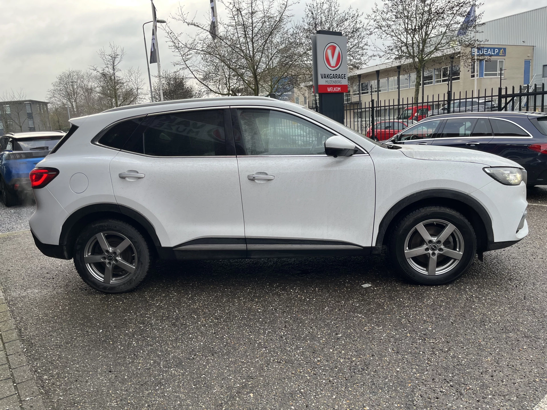 Hoofdafbeelding MG EHS