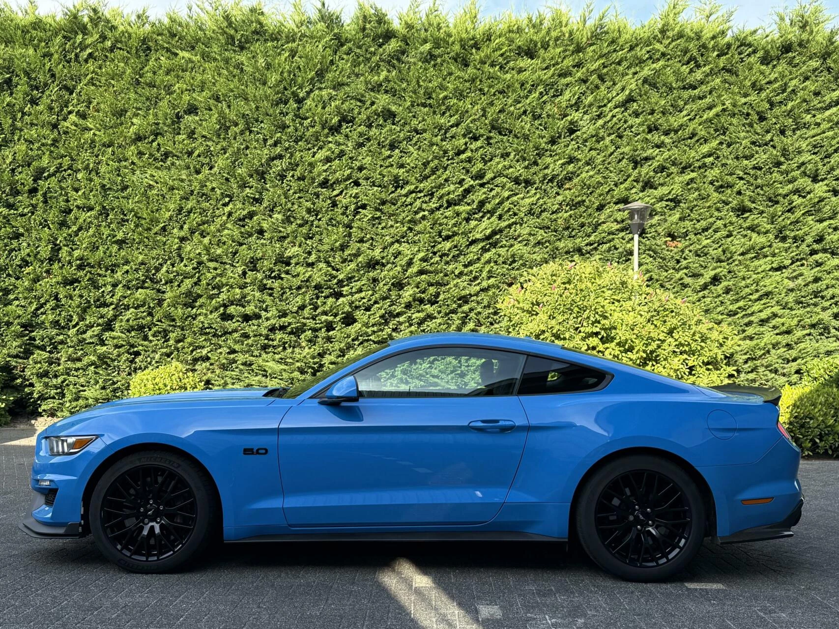 Hoofdafbeelding Ford Mustang