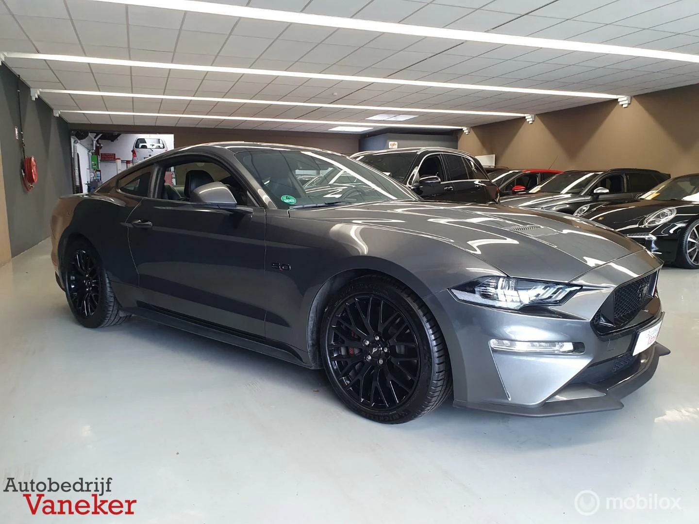 Hoofdafbeelding Ford Mustang