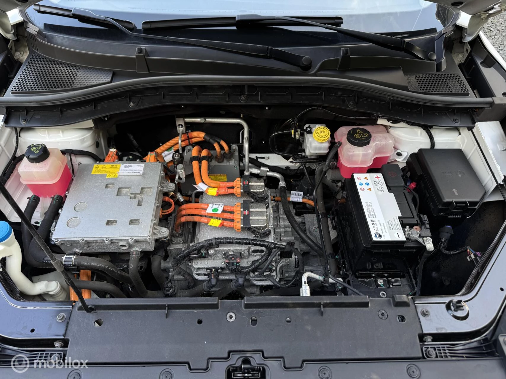 Hoofdafbeelding MG ZS EV