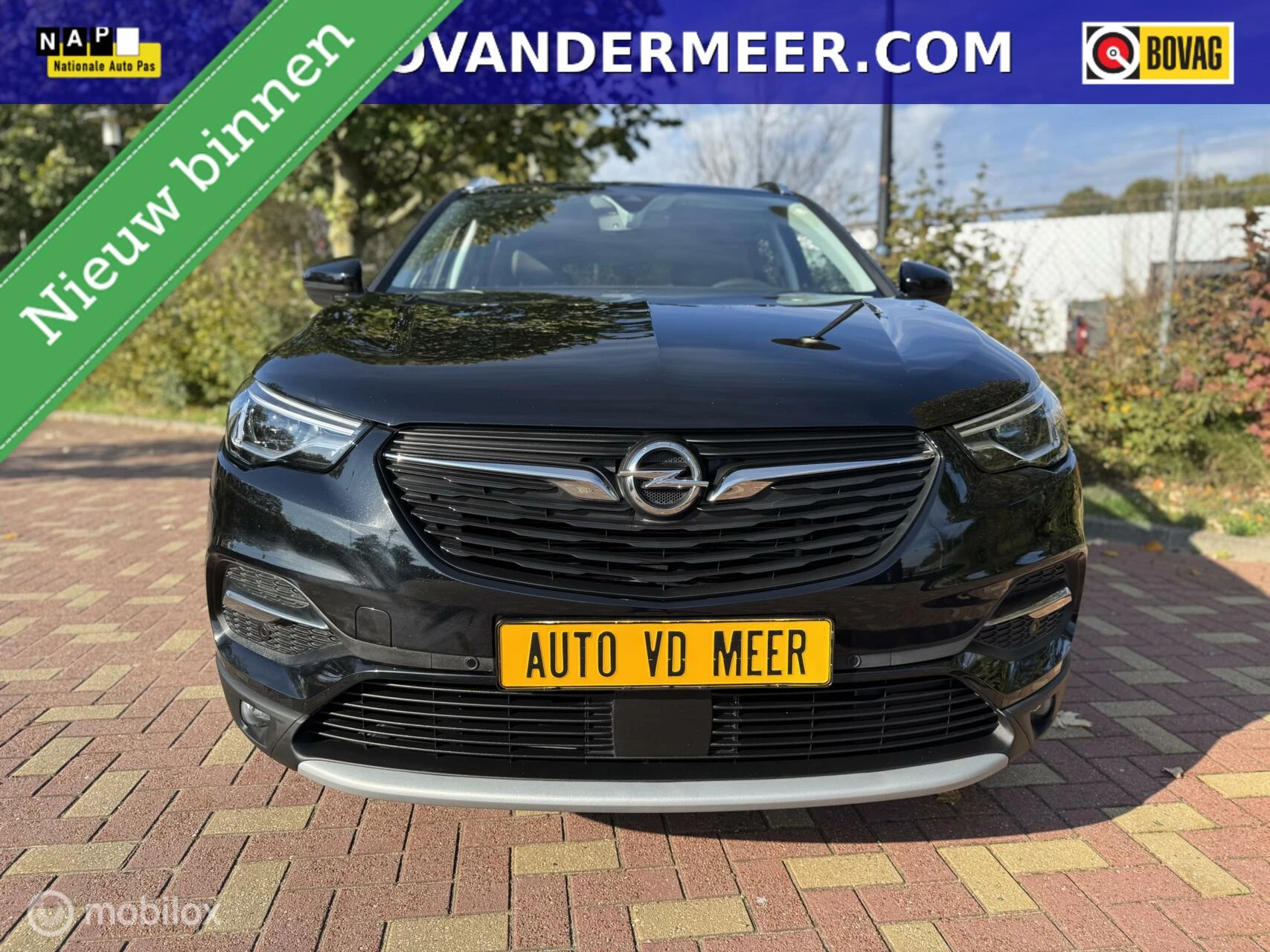 Hoofdafbeelding Opel Grandland X