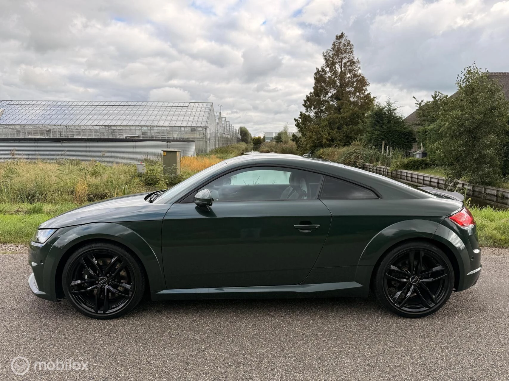 Hoofdafbeelding Audi TT