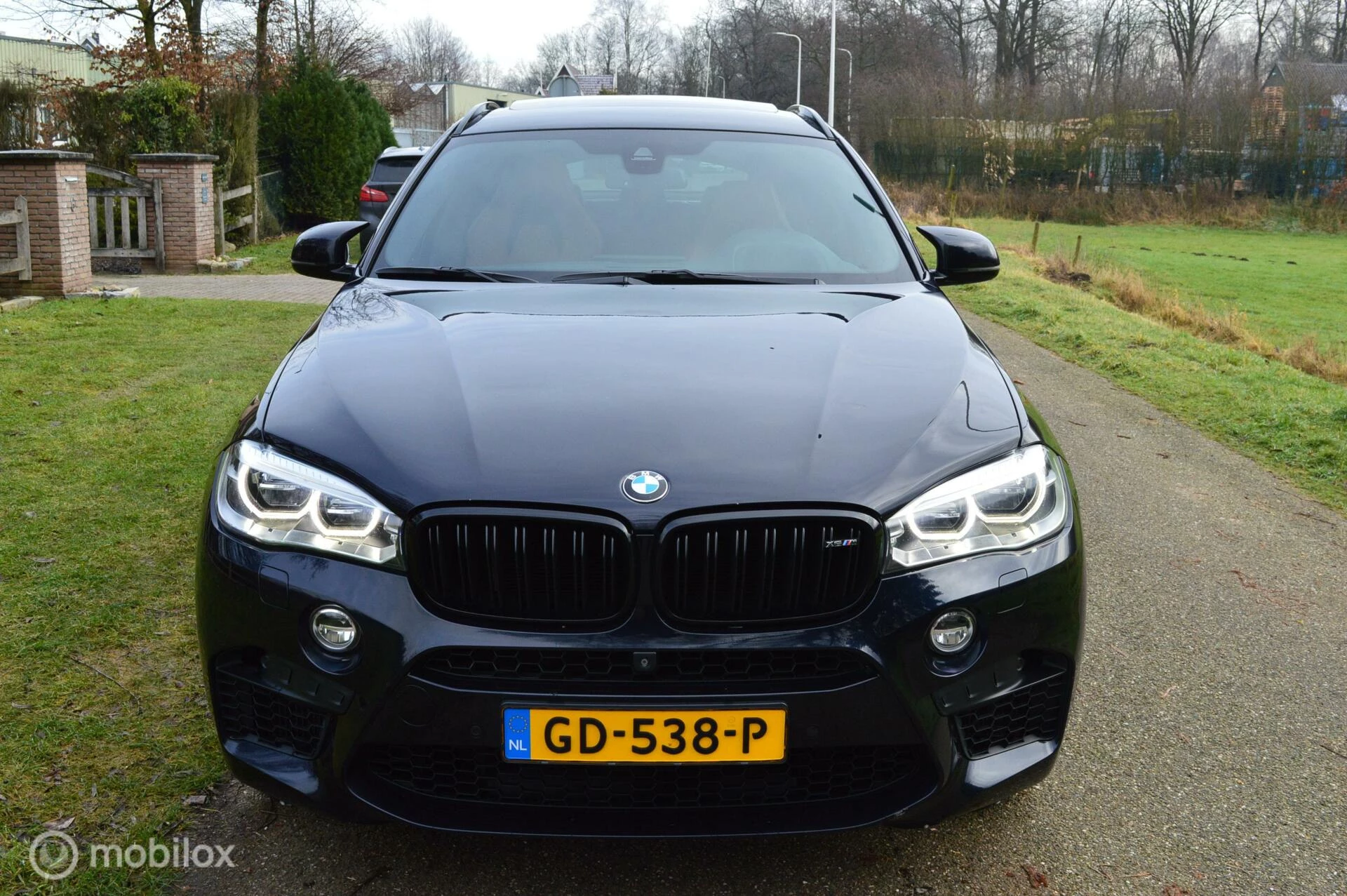 Hoofdafbeelding BMW X6