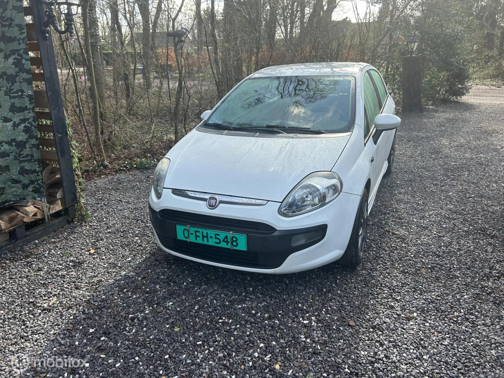 Hoofdafbeelding Fiat Punto