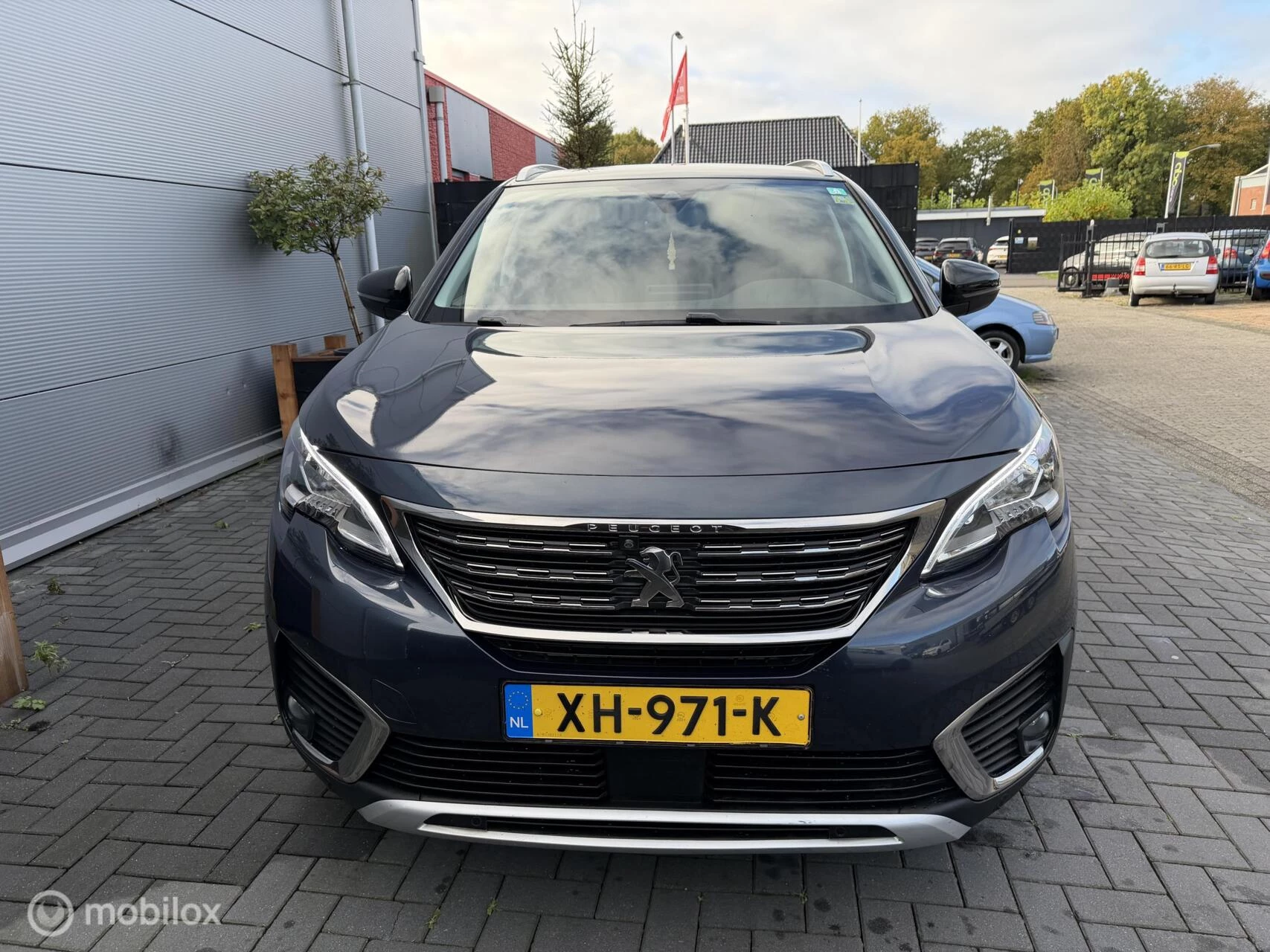Hoofdafbeelding Peugeot 5008