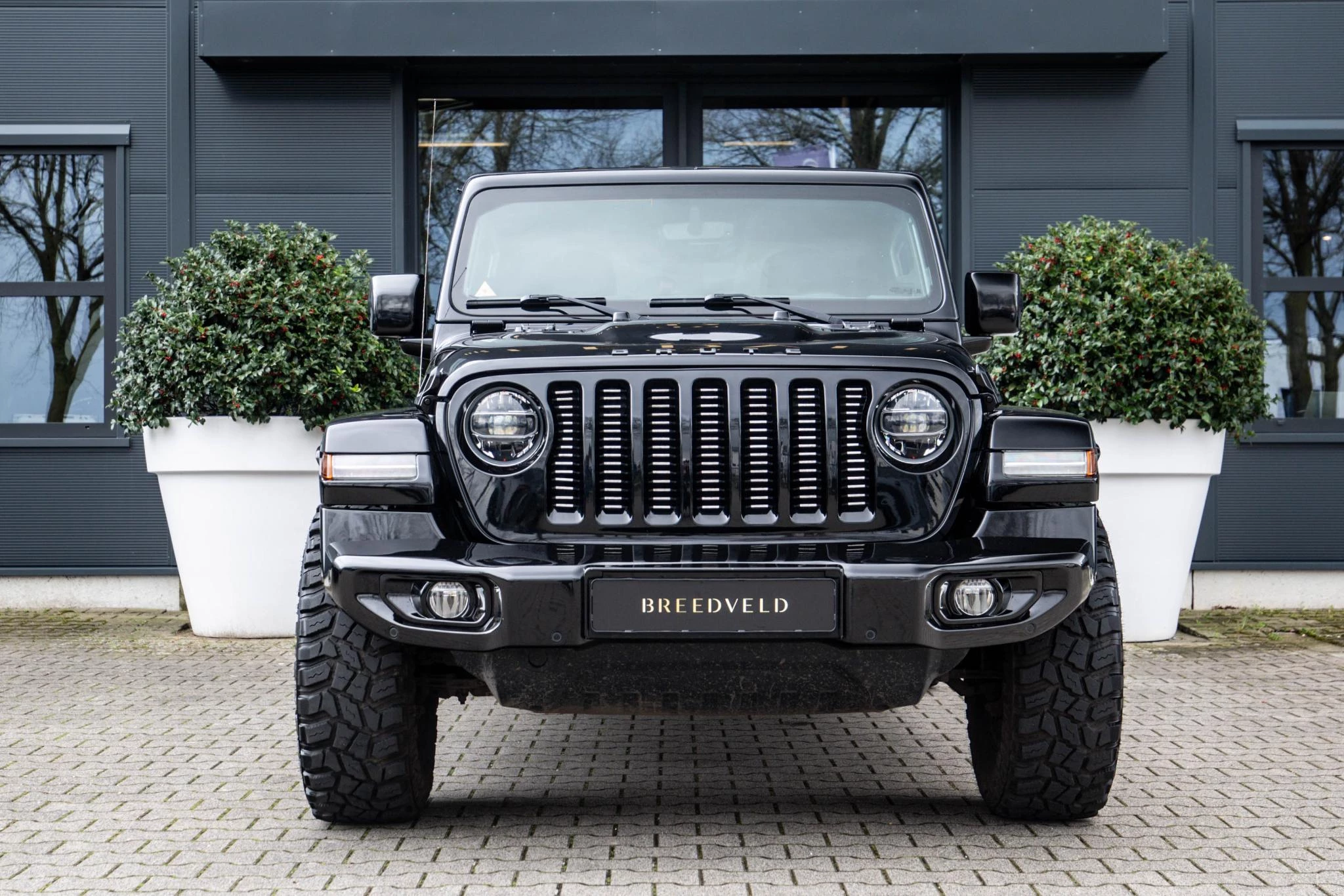 Hoofdafbeelding Jeep Wrangler