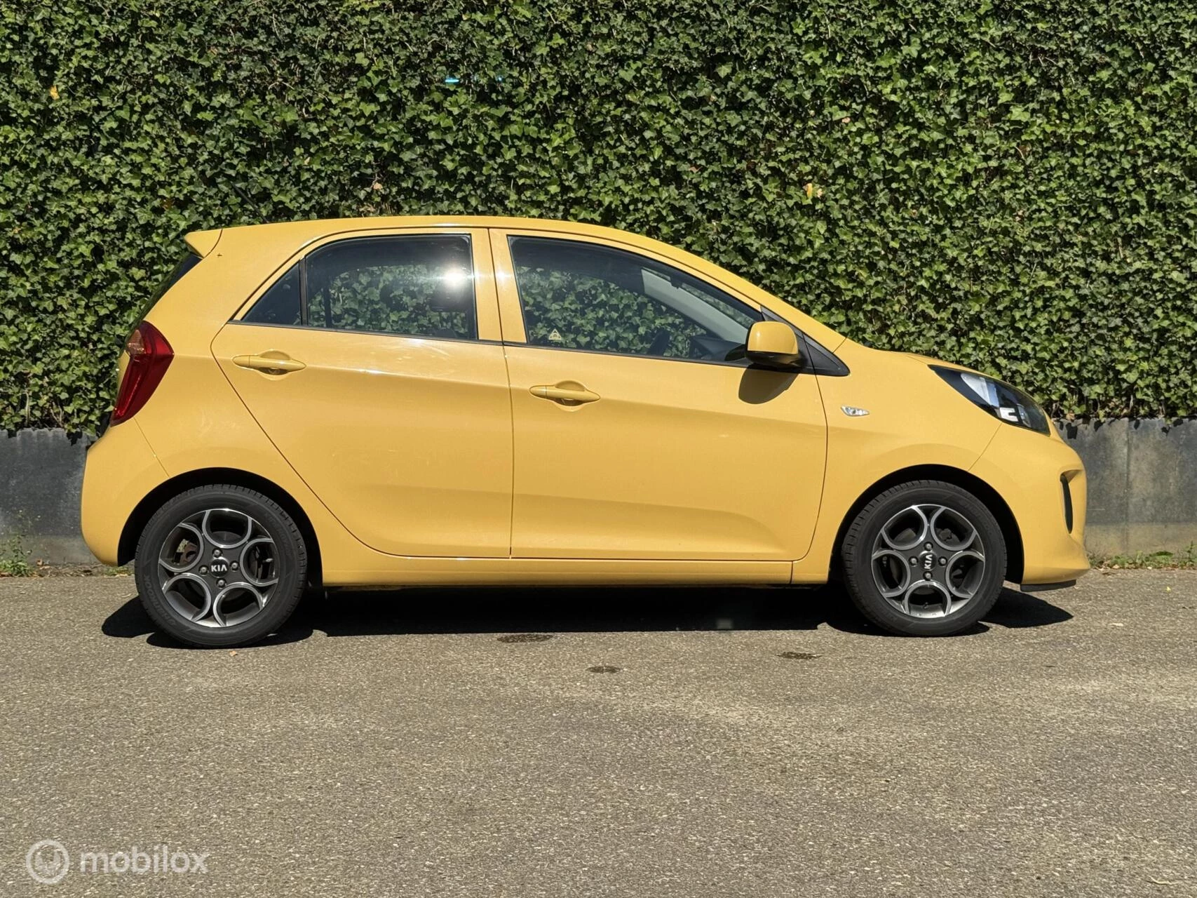 Hoofdafbeelding Kia Picanto