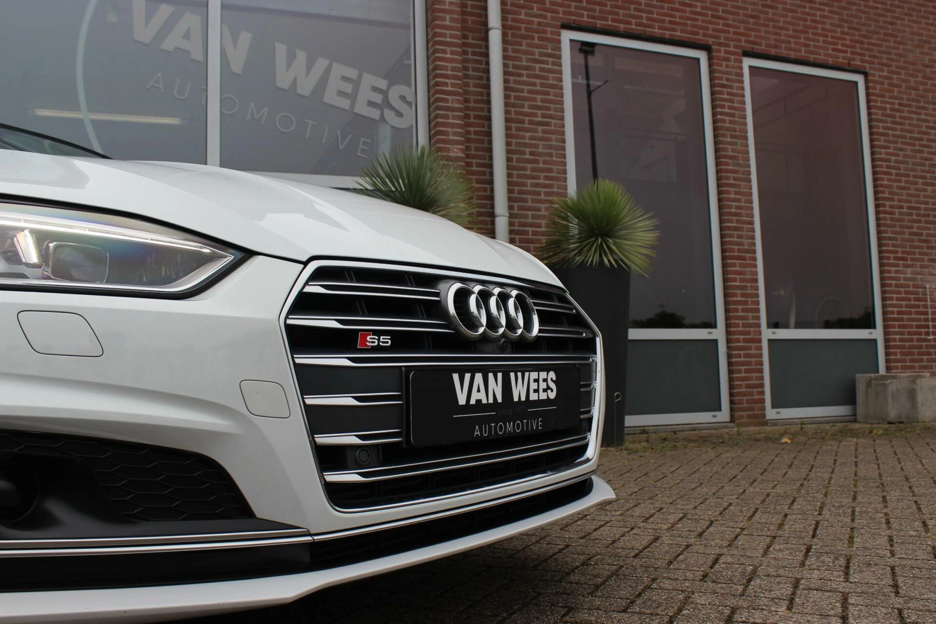 Hoofdafbeelding Audi S5