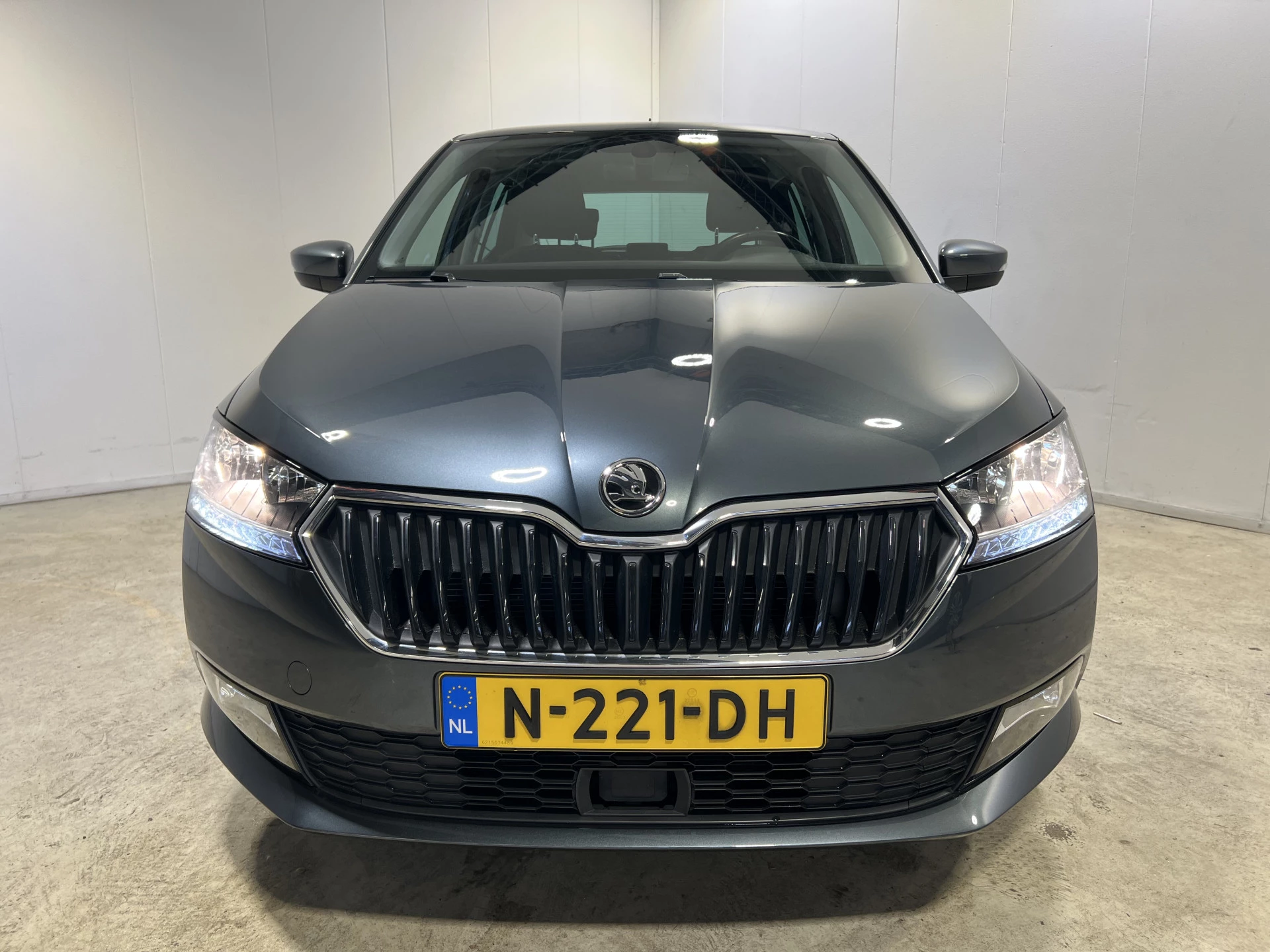 Hoofdafbeelding Škoda Fabia