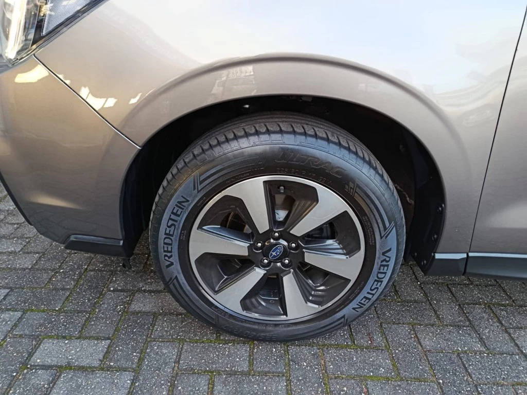 Hoofdafbeelding Subaru Forester