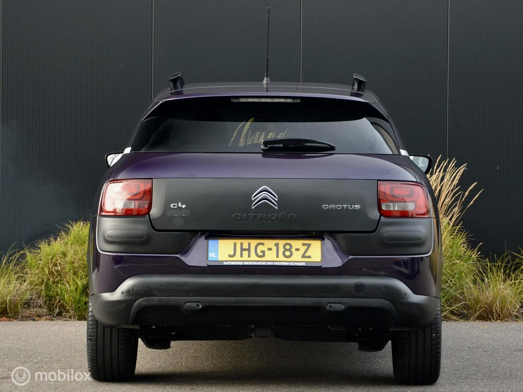 Hoofdafbeelding Citroën C4 Cactus