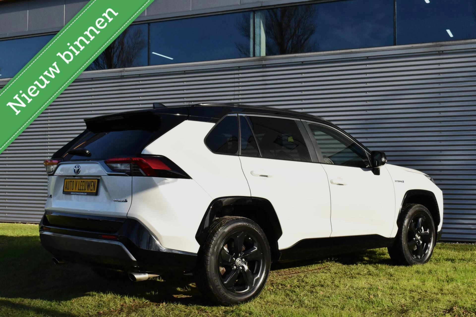 Hoofdafbeelding Toyota RAV4