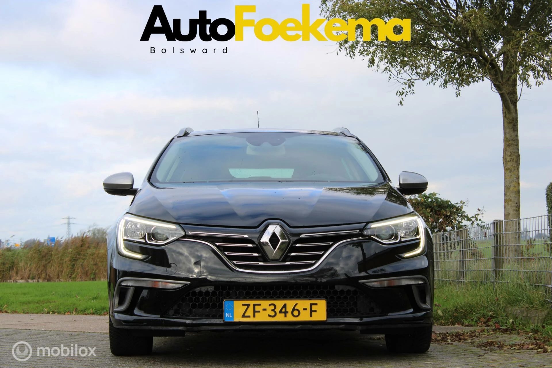 Hoofdafbeelding Renault Mégane