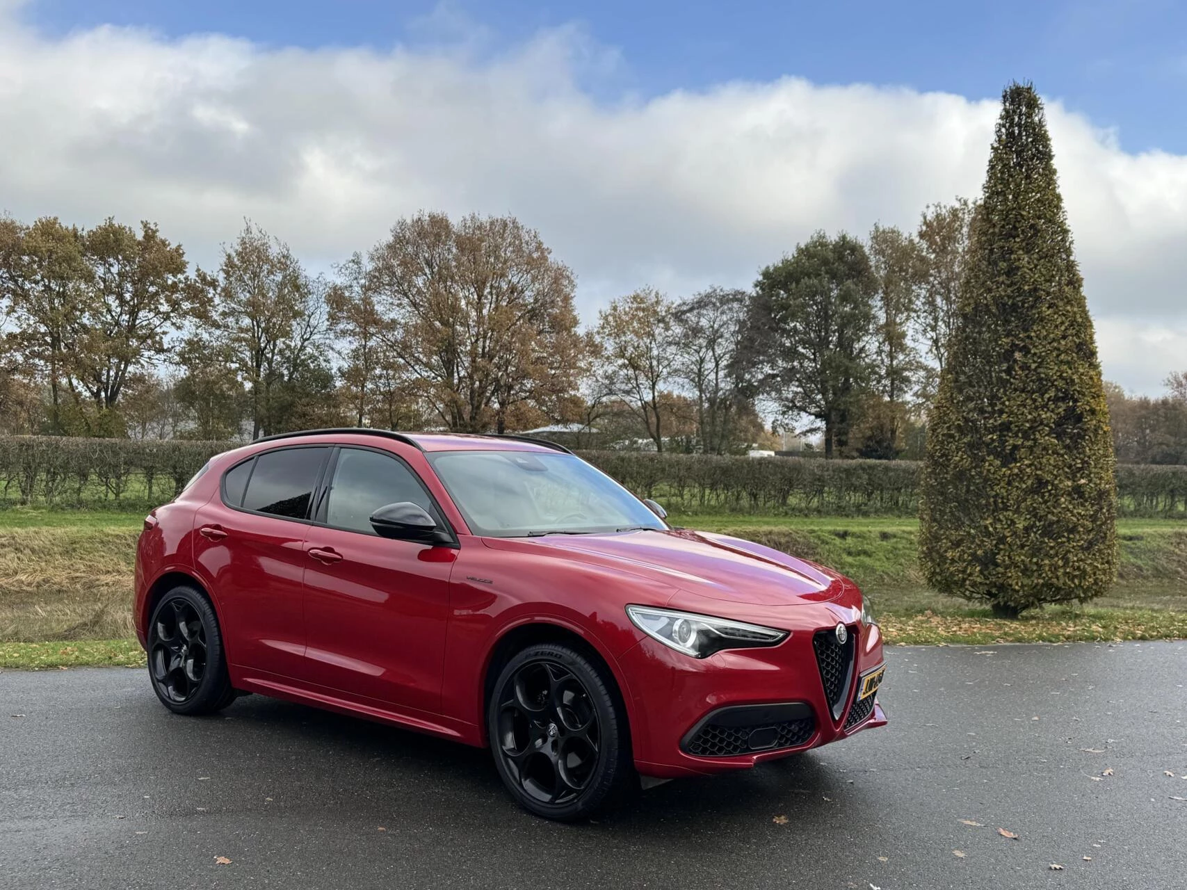 Hoofdafbeelding Alfa Romeo Stelvio
