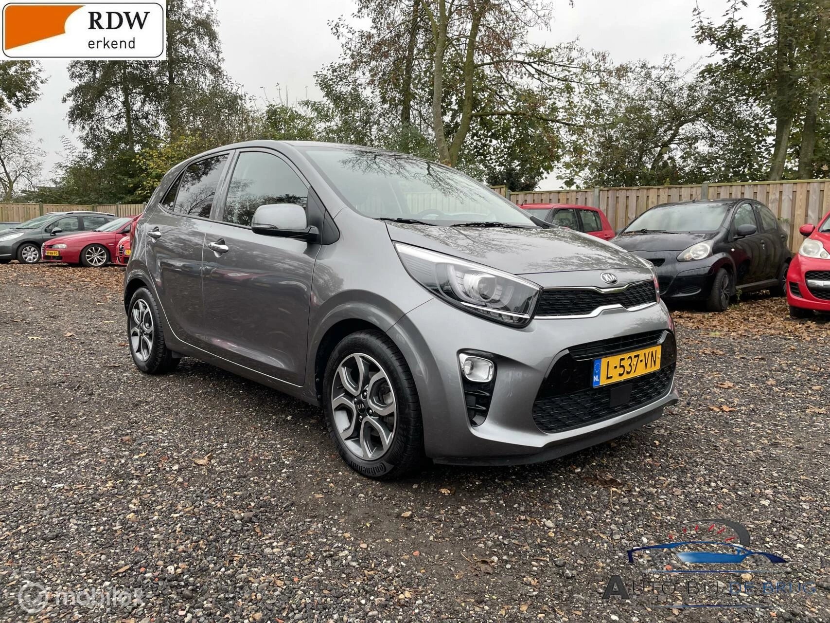 Hoofdafbeelding Kia Picanto