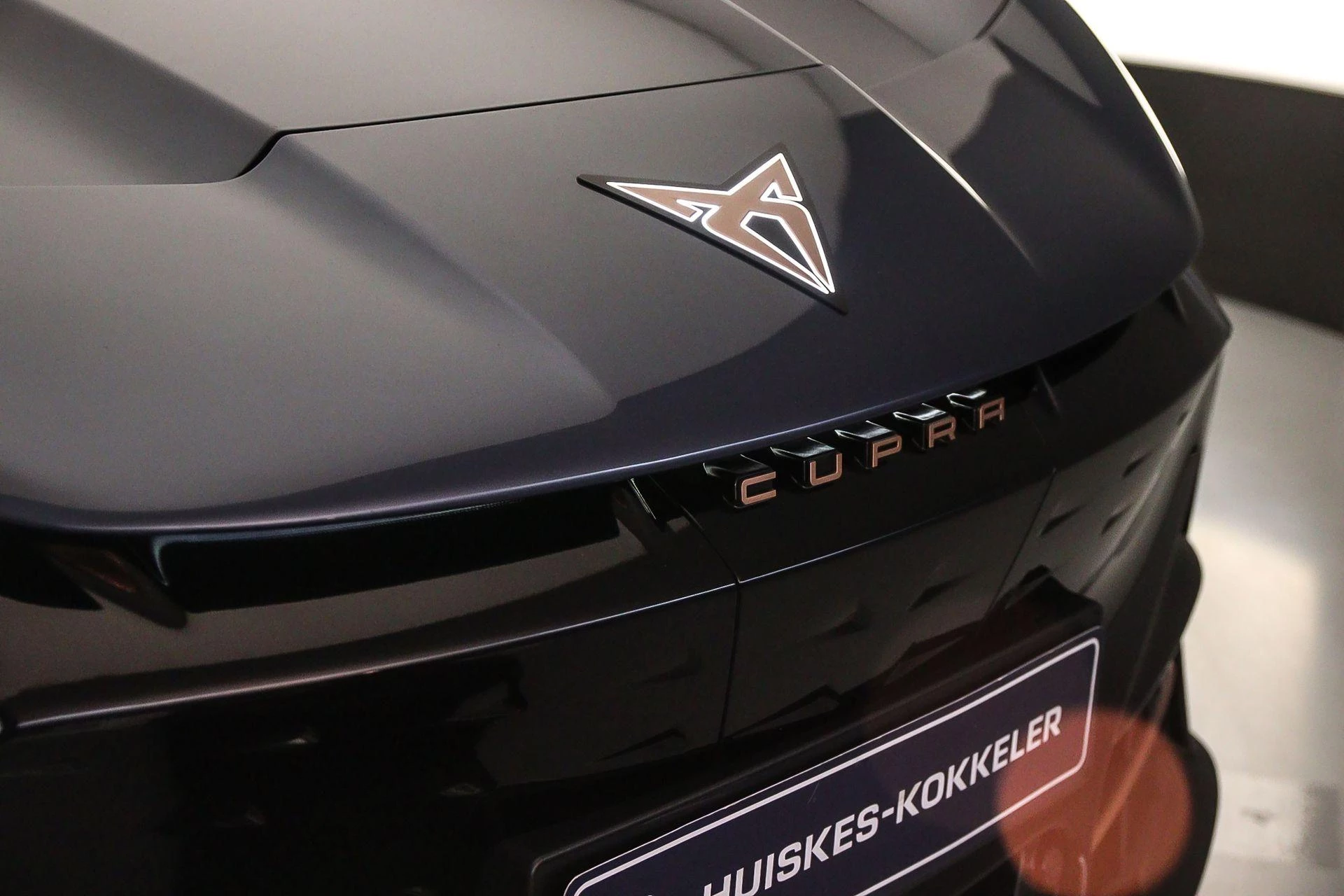 Hoofdafbeelding CUPRA Tavascan