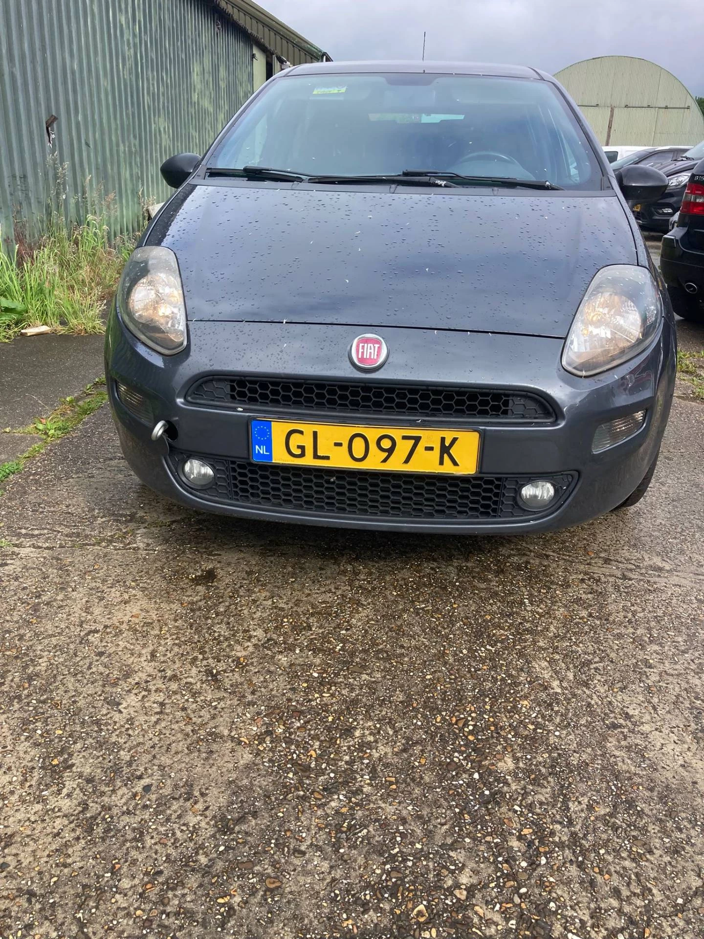 Hoofdafbeelding Fiat Punto