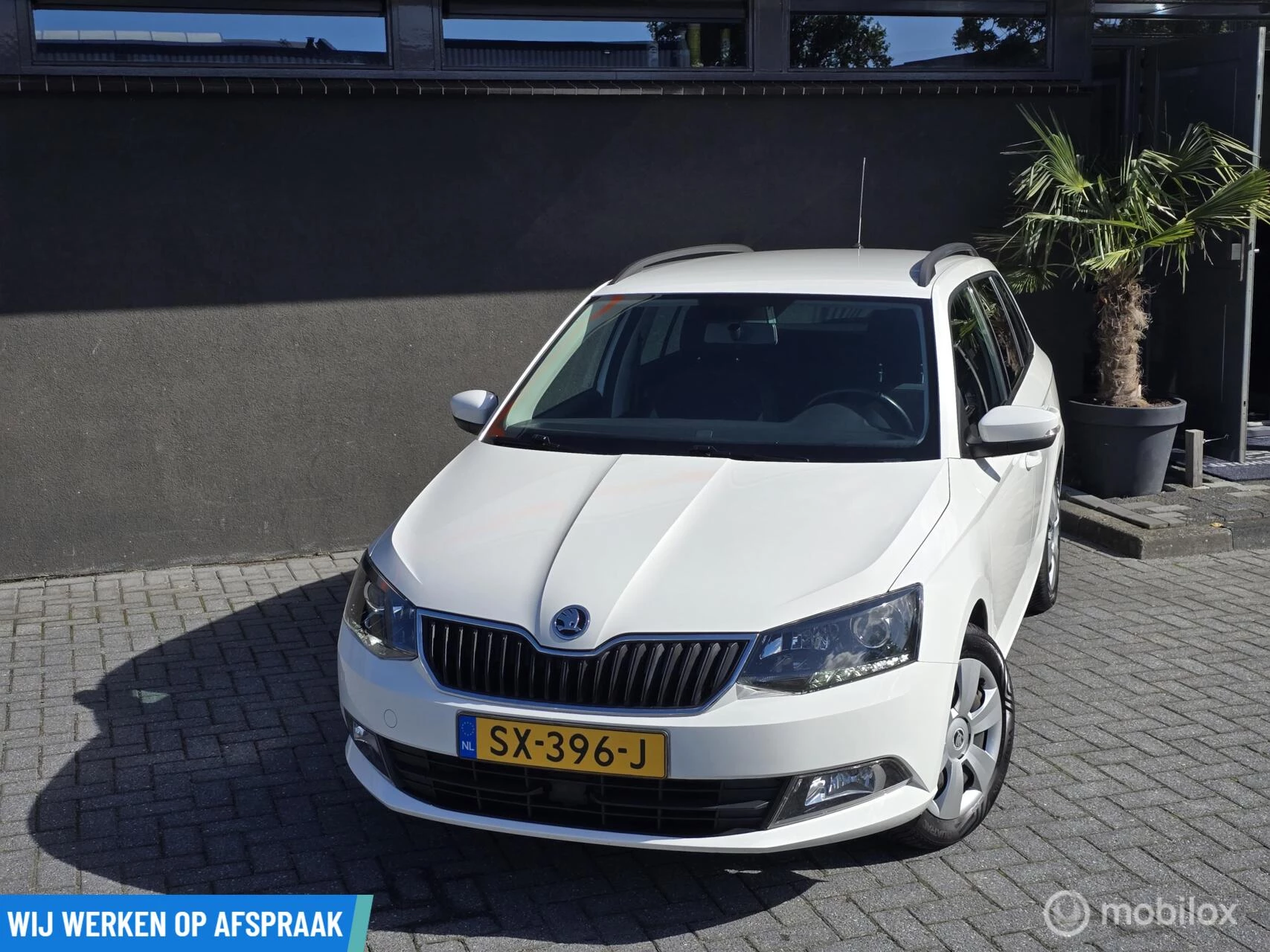 Hoofdafbeelding Škoda Fabia