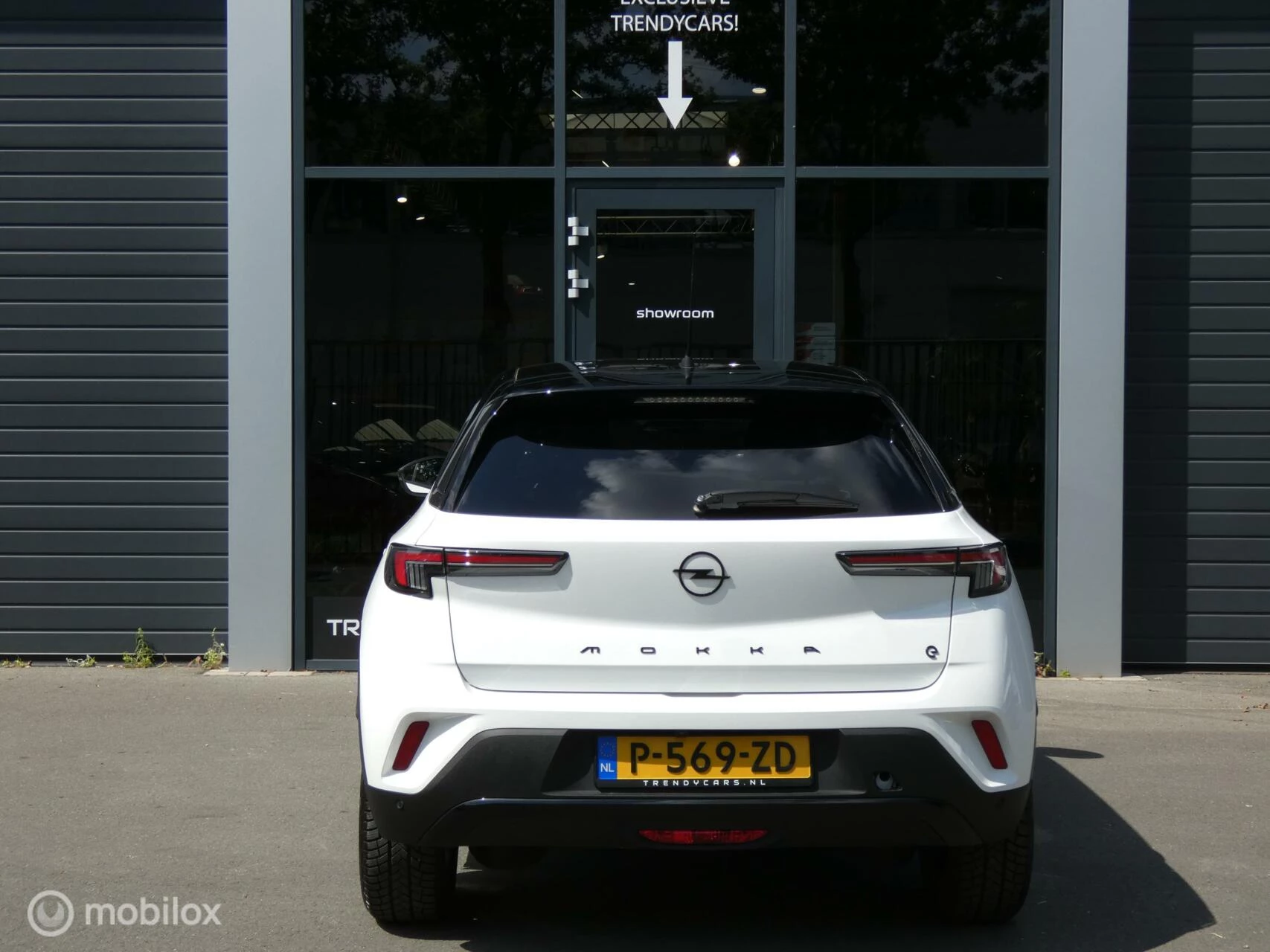 Hoofdafbeelding Opel Mokka-e