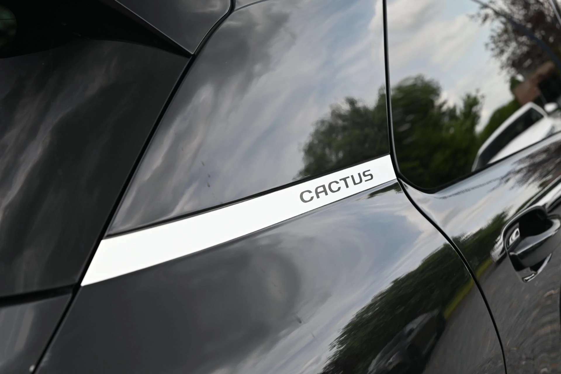 Hoofdafbeelding Citroën C4 Cactus