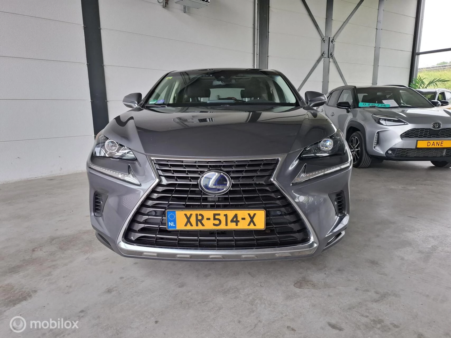 Hoofdafbeelding Lexus NX