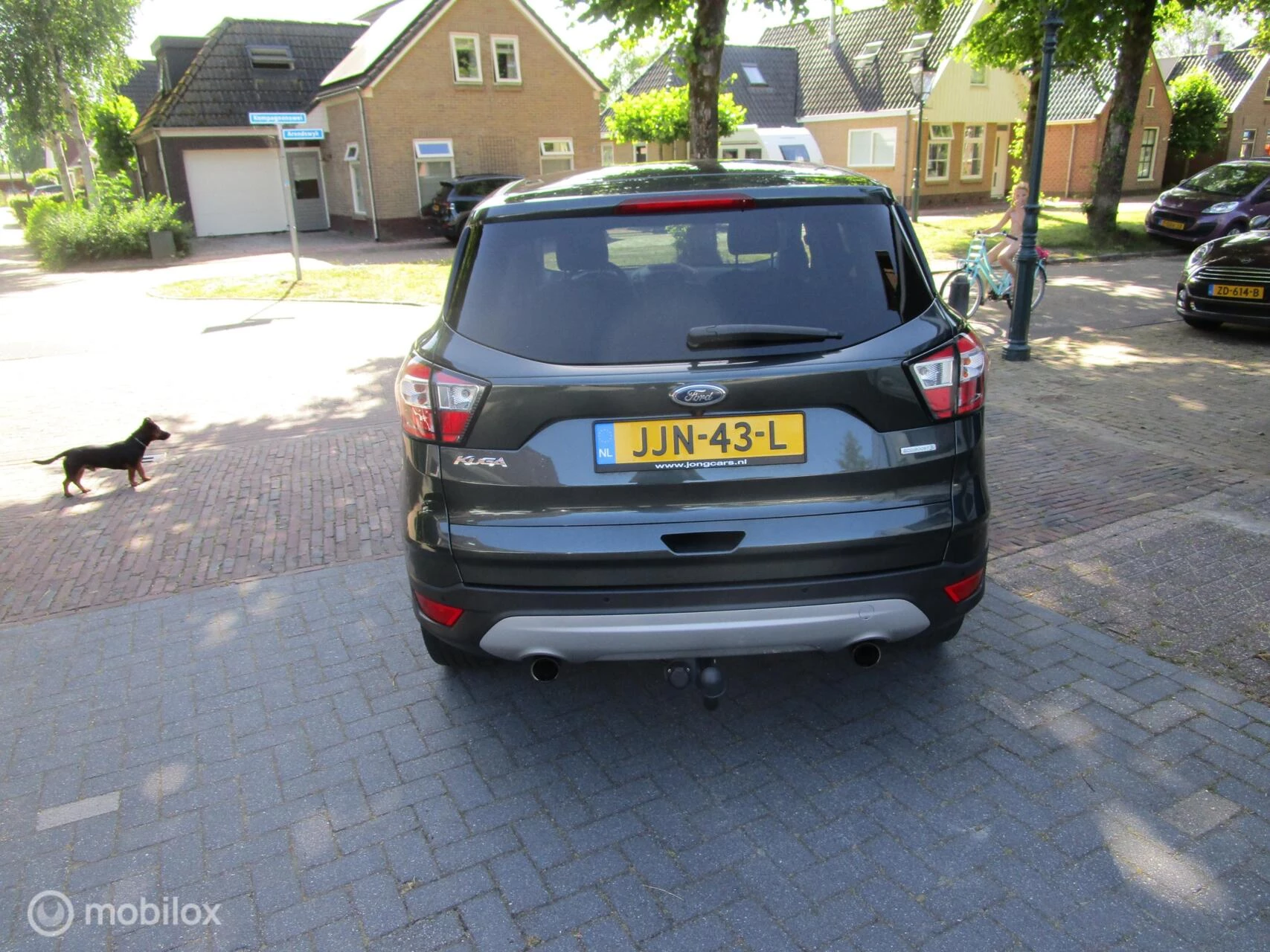 Hoofdafbeelding Ford Kuga