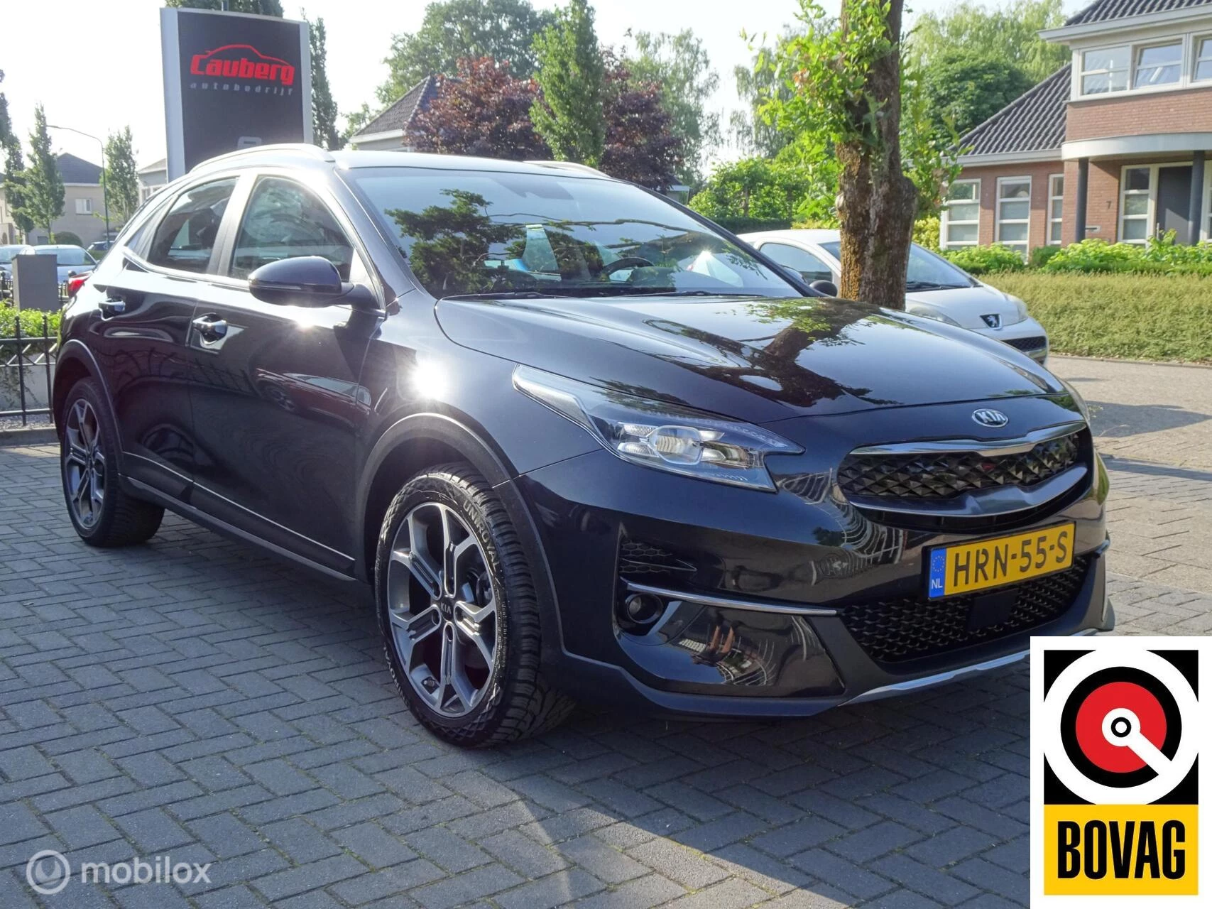 Hoofdafbeelding Kia XCeed