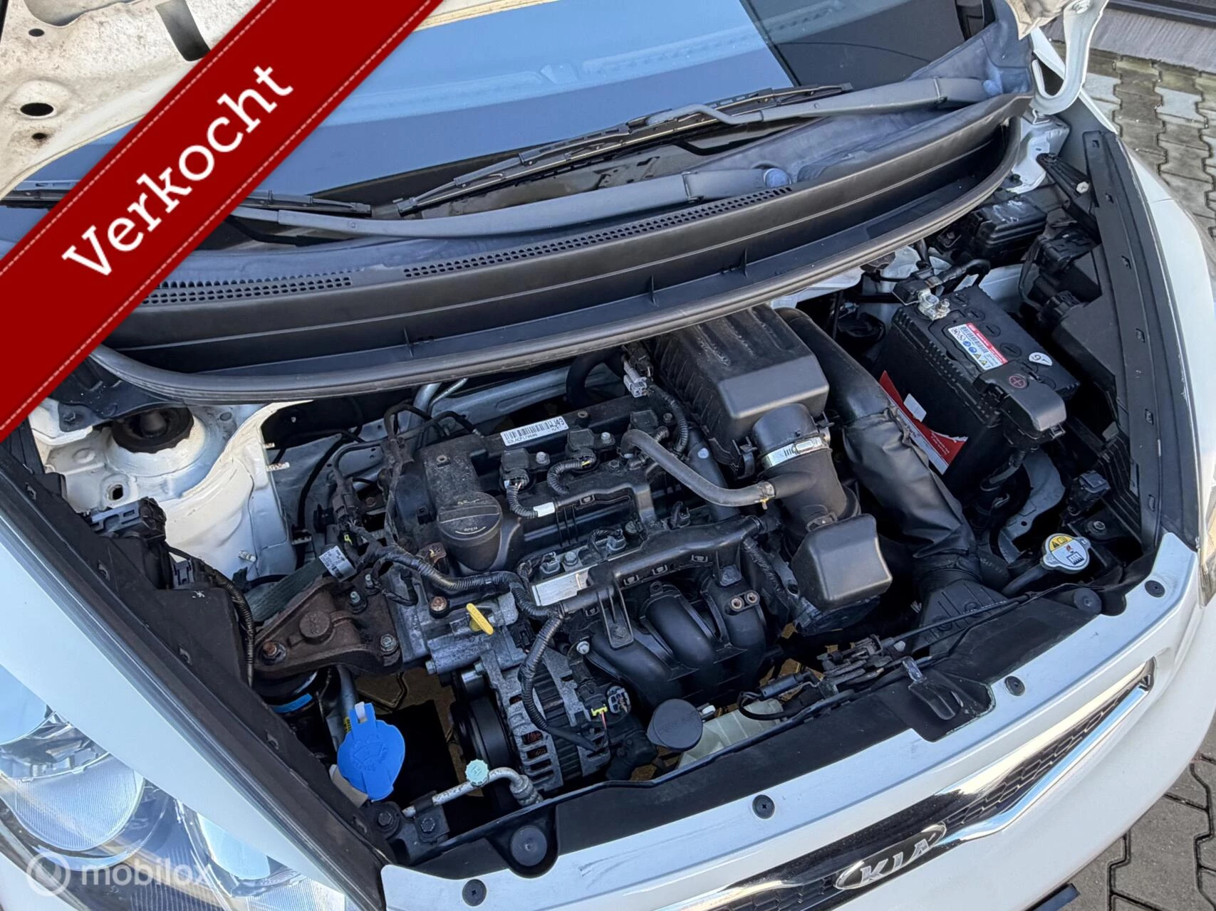 Hoofdafbeelding Kia Picanto