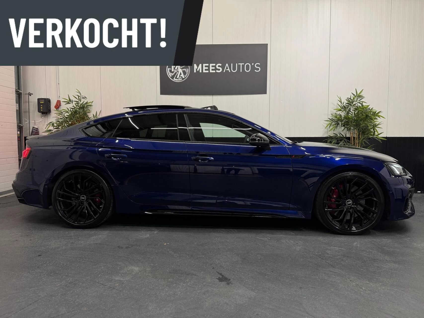 Hoofdafbeelding Audi RS5