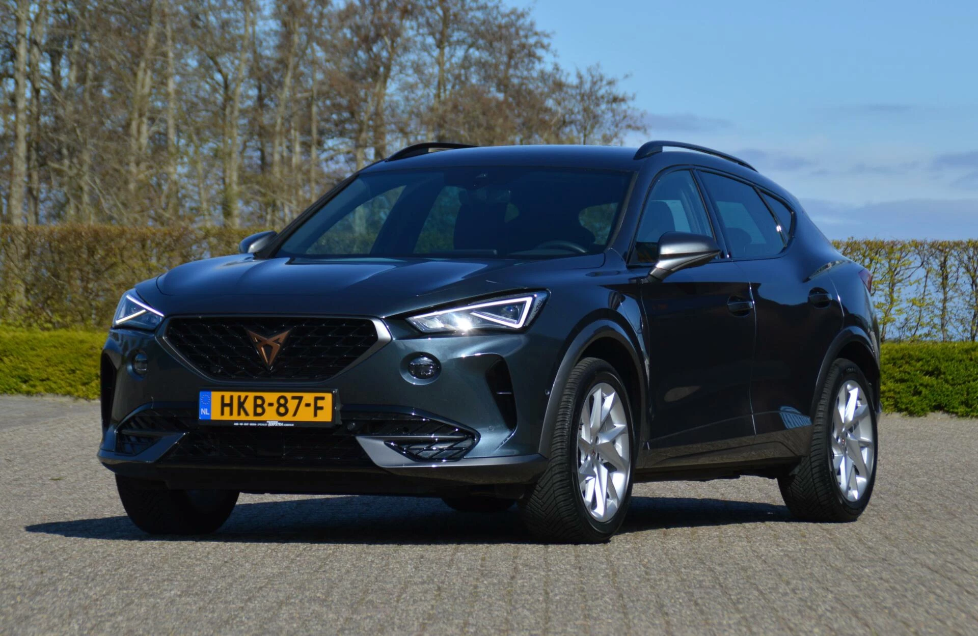 Hoofdafbeelding CUPRA Formentor