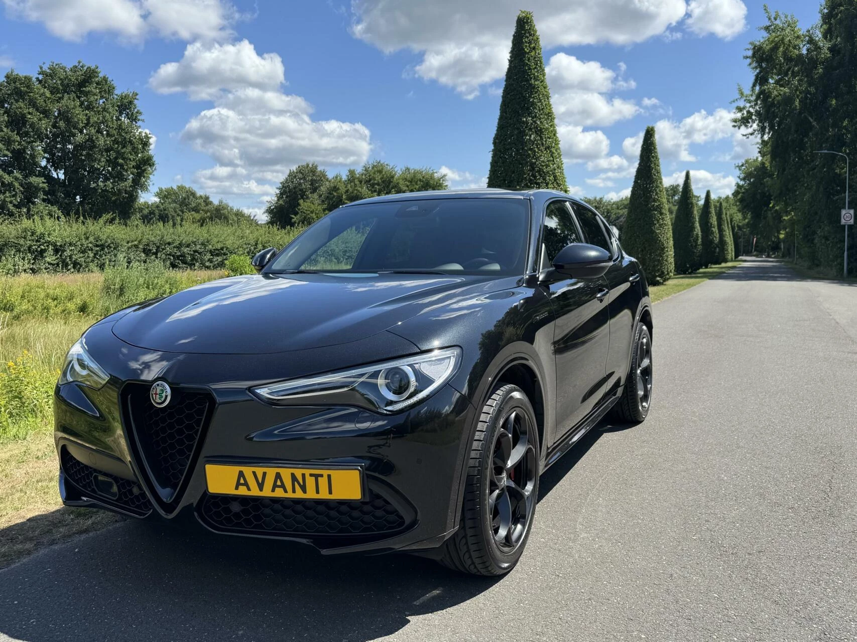 Hoofdafbeelding Alfa Romeo Stelvio
