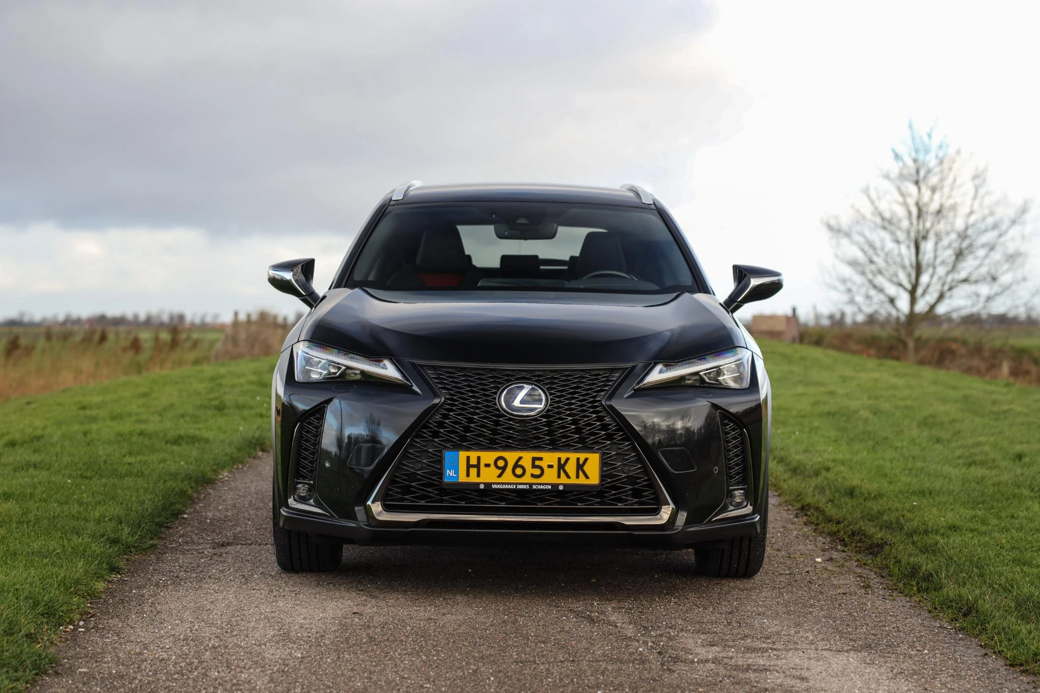 Hoofdafbeelding Lexus UX