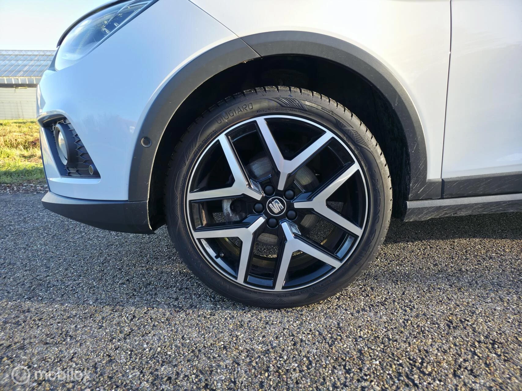 Hoofdafbeelding SEAT Arona