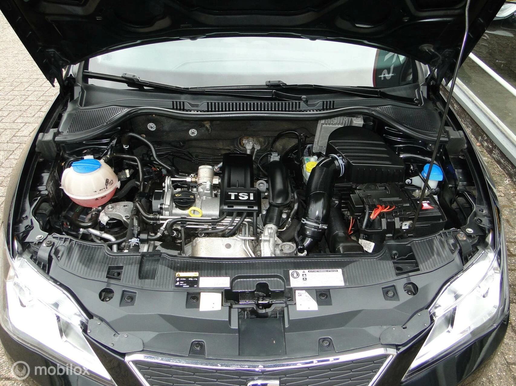 Hoofdafbeelding SEAT Ibiza
