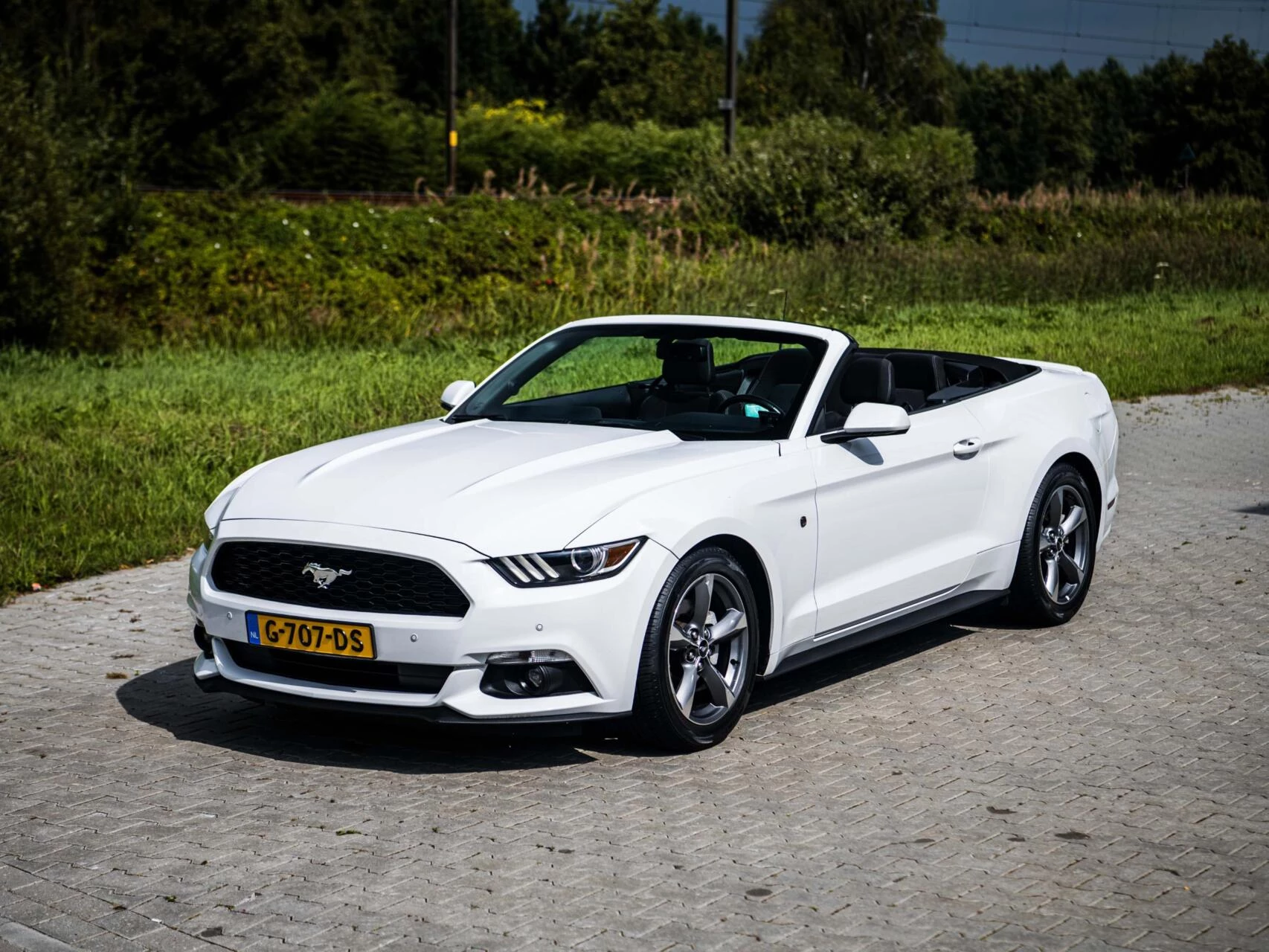 Hoofdafbeelding Ford Mustang