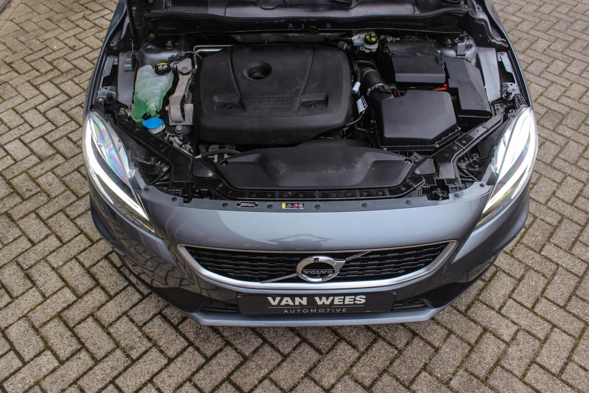 Hoofdafbeelding Volvo V40