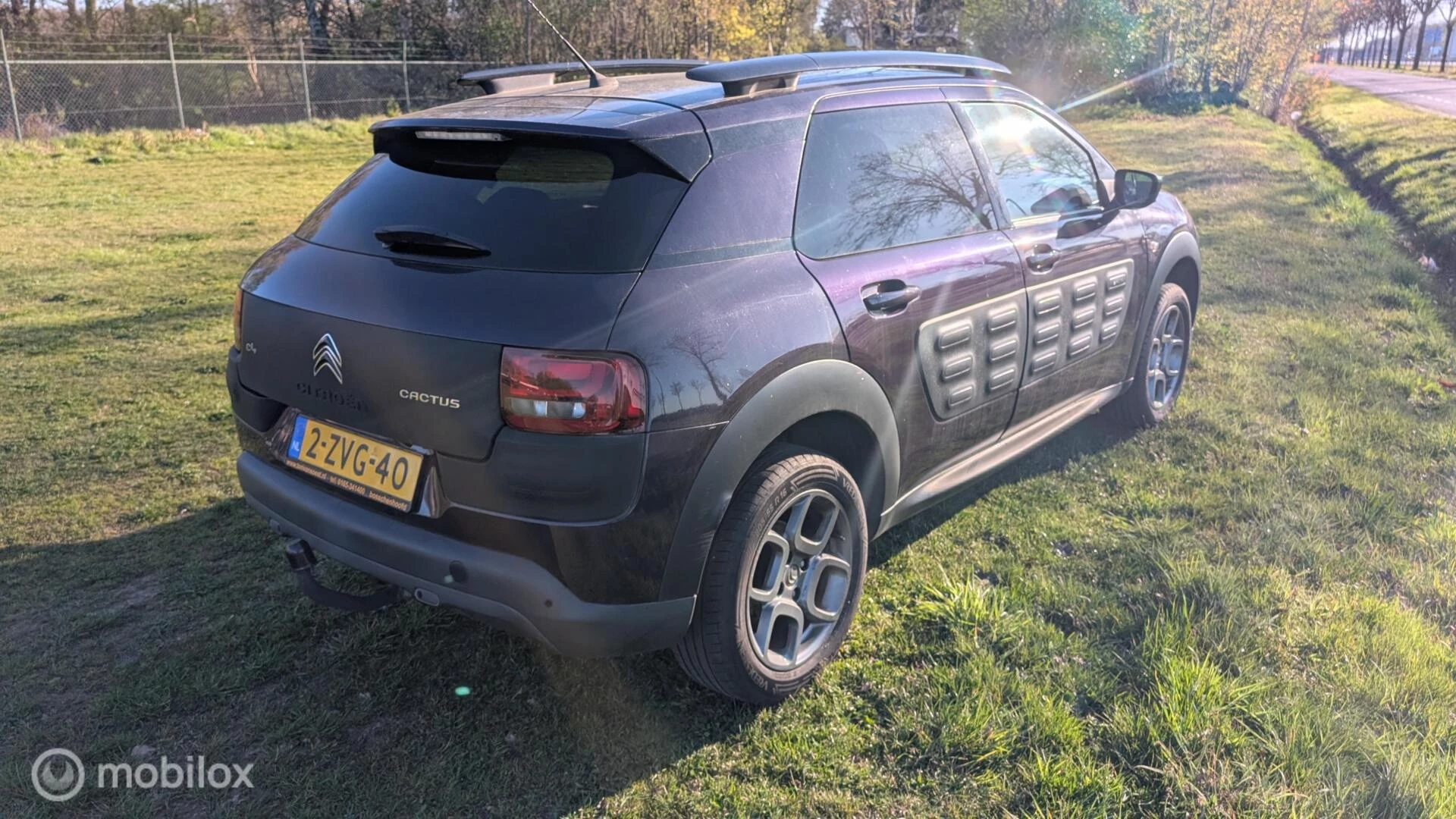 Hoofdafbeelding Citroën C4 Cactus