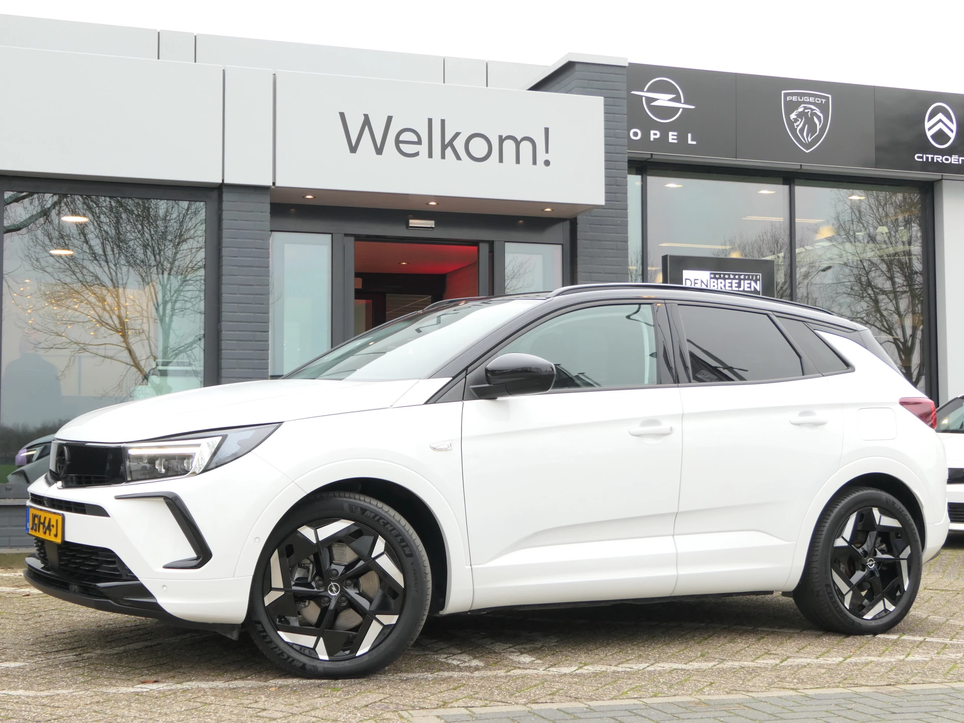 Hoofdafbeelding Opel Grandland