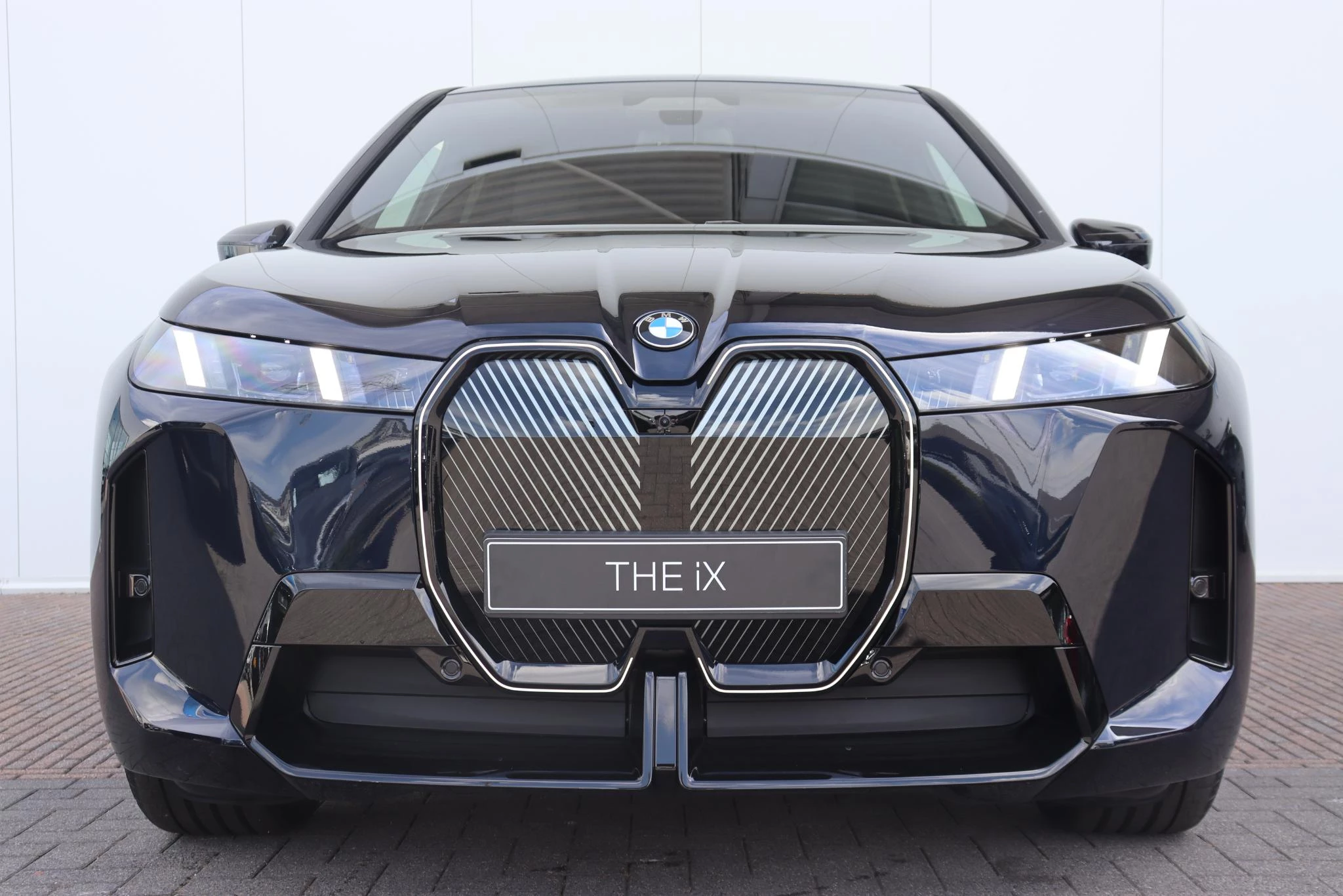 Hoofdafbeelding BMW iX