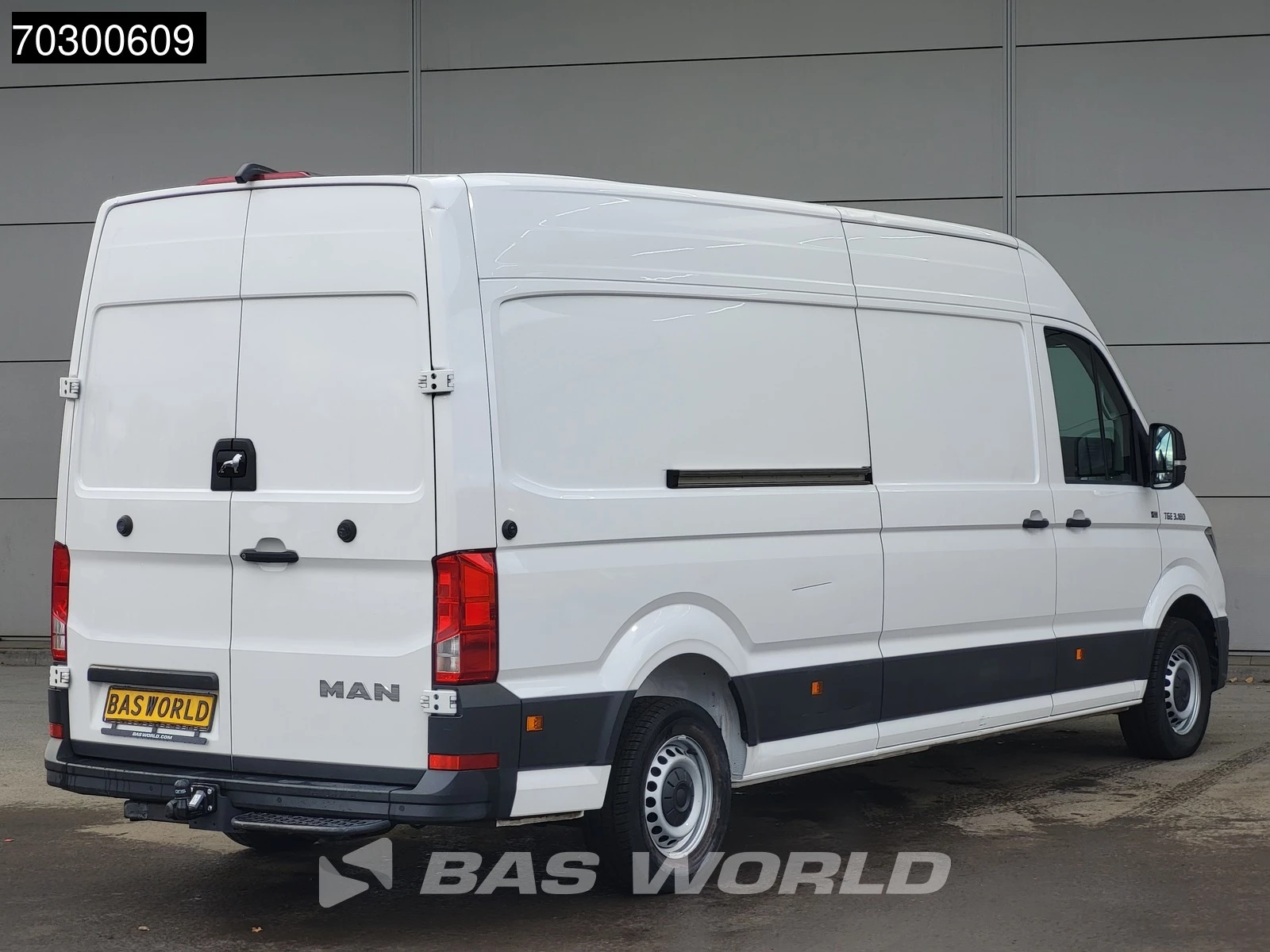 Hoofdafbeelding MAN TGE