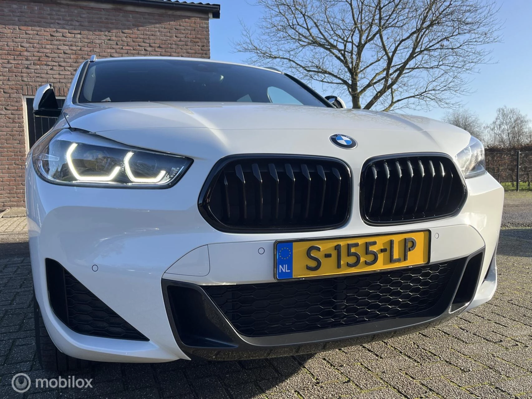 Hoofdafbeelding BMW X2
