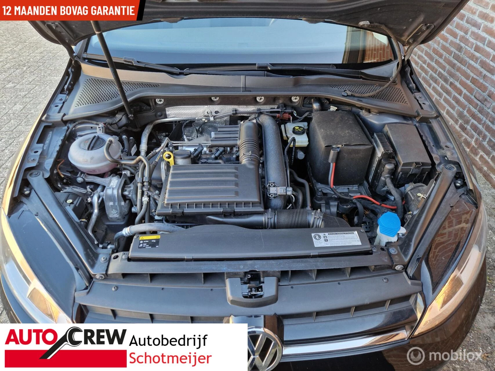 Hoofdafbeelding Volkswagen Golf